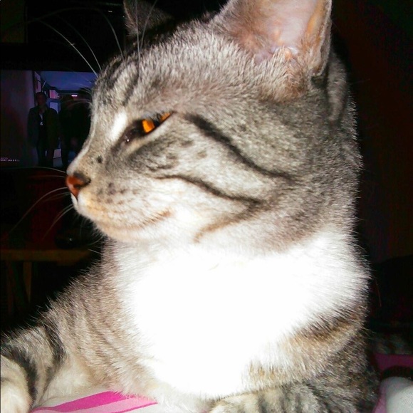 Meet your Posher, Crystal - Picture 1 of 1